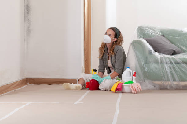 Reliable Mold Inspection contractor in Fort Collins, CO by WQB Mold Removal